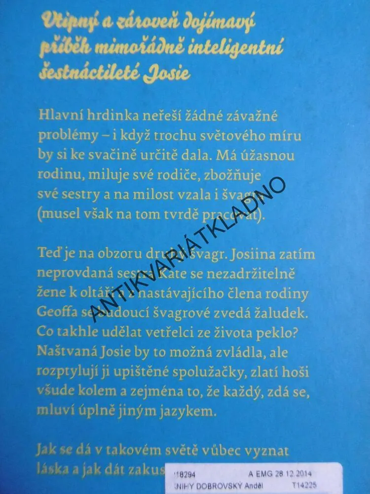 CIZÍ SLOVO LÁSKA, ERIN MCCAHANOVÁ, **an