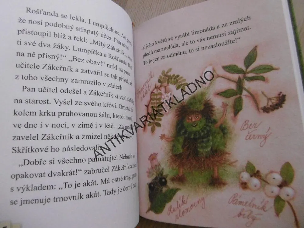 LUMPÍČEK A ROŠŤANDA, ZUZANA POSPÍŠILOVÁ, MARKÉTA VYDROVÁ, PRVNÍ ČTENÍ, **an