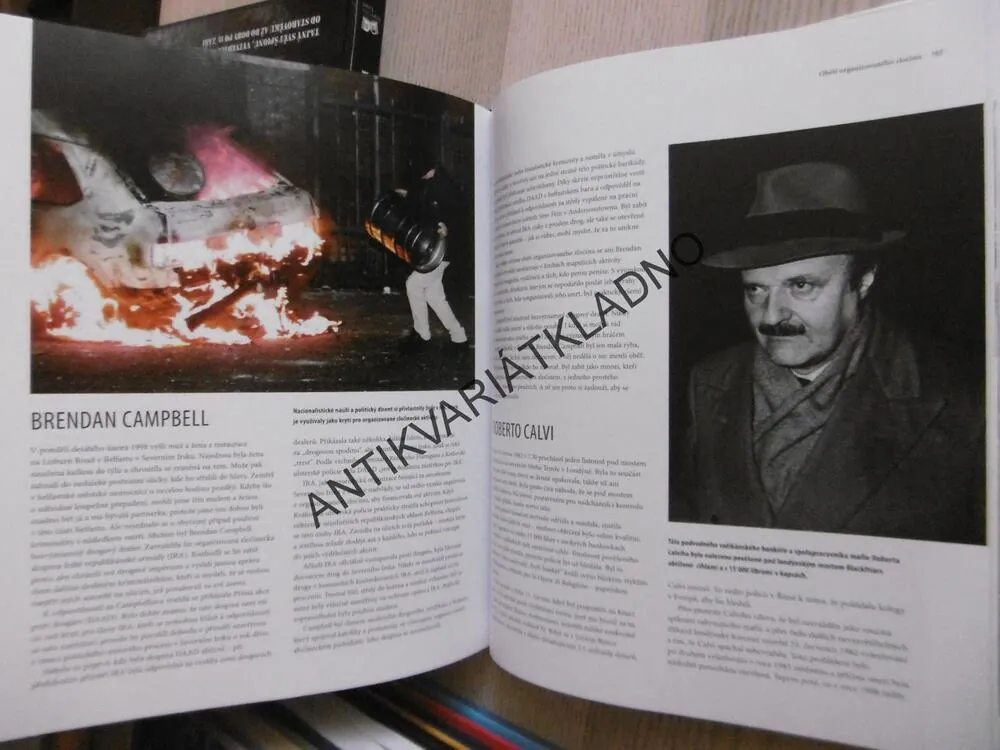HISTORIE ORGANIZOVANÉHO ZLOČINU, DAVID SOUTHWELL, **an