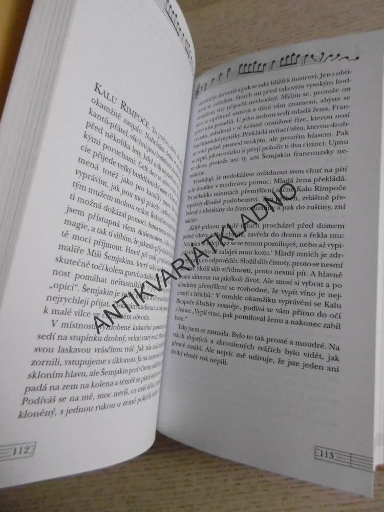 VLADIMÍR VYSOCKIJ, VLADIMÍR ANEB ZASTAVENÝ LET, MARINA VLADYOVÁ, **an