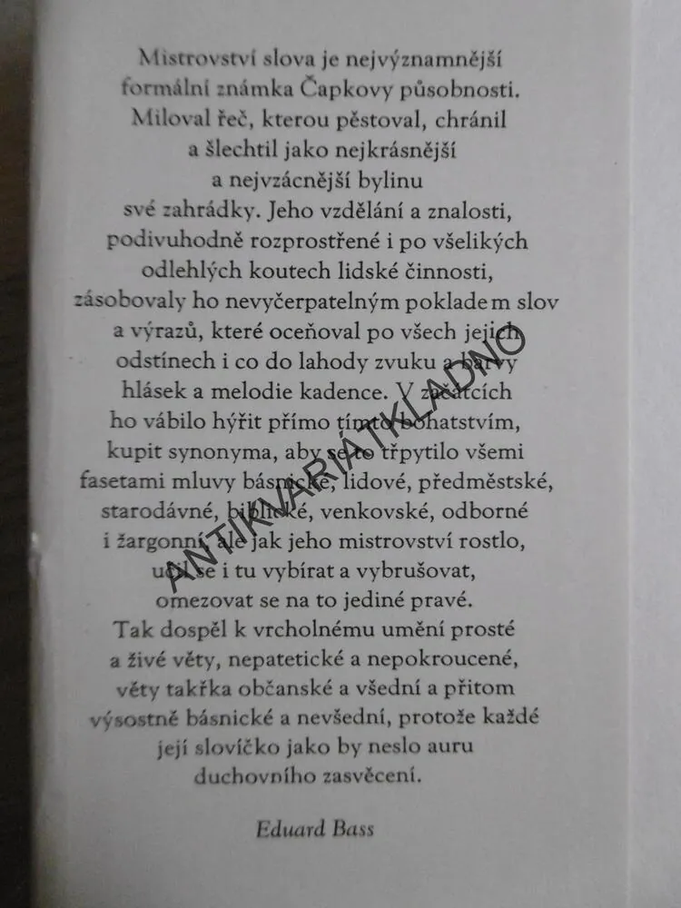 V ZAJETÍ SLOV, KAREL ČAPEK, **an