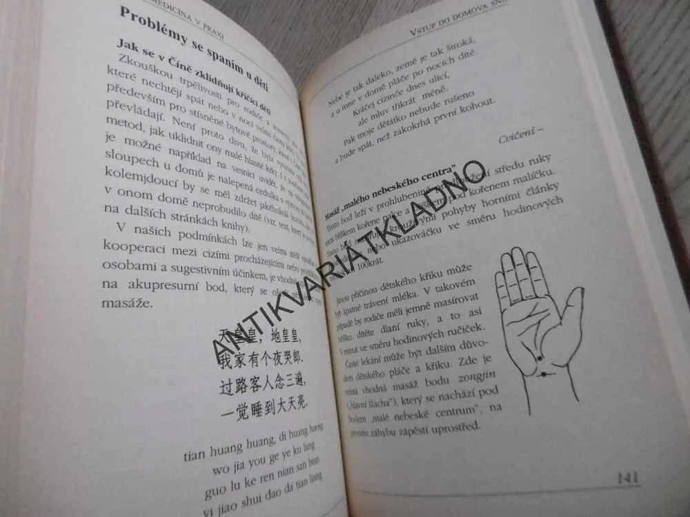ČÍNSKÁ MEDICÍNA V PRAXI, SUSANNE HORNFECK, NELLY MA, **an
