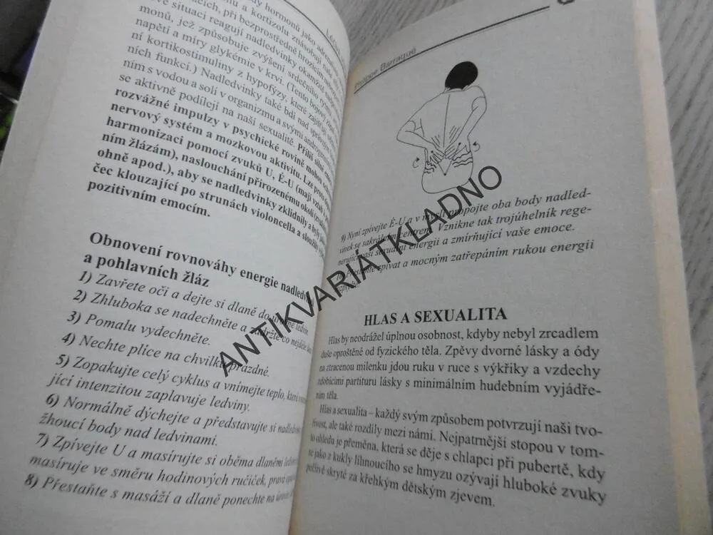 LÉČIVÁ SÍLA HLASU, PHILIPPE BARRAQUÉ, **an