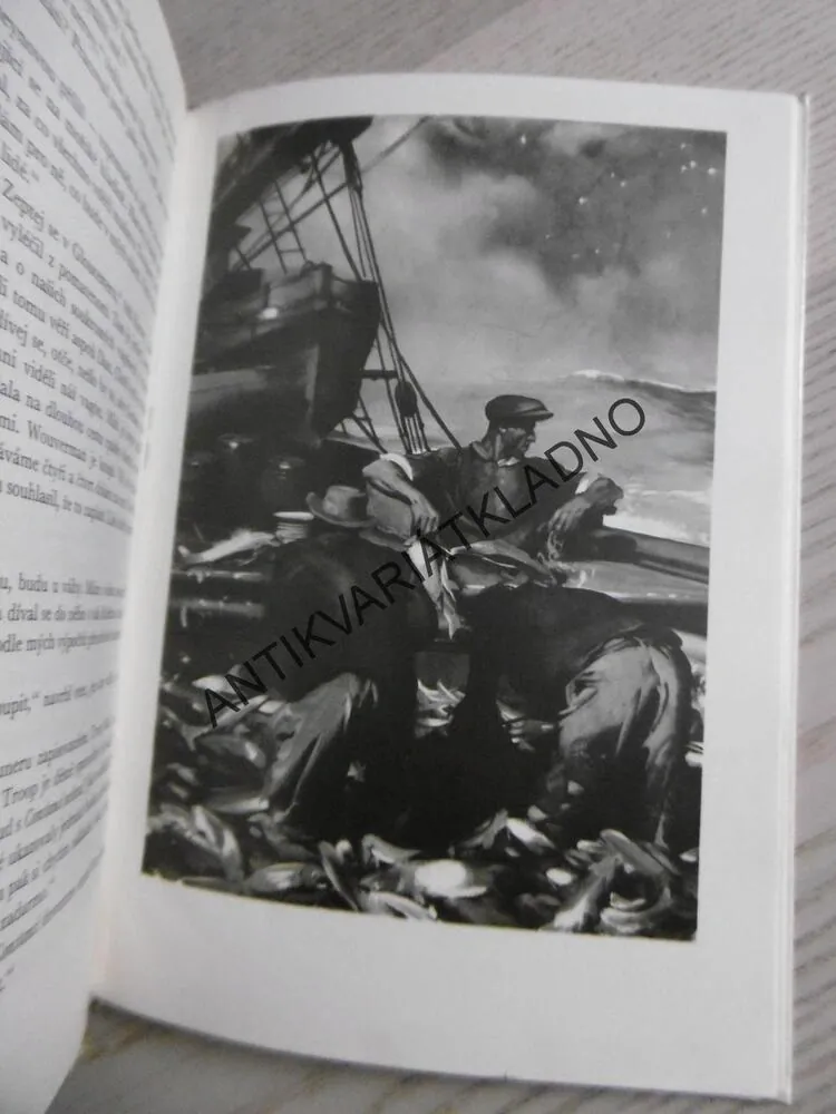 STATEČNÍ KAPITÁNI, RUDYARD KIPLING, **an