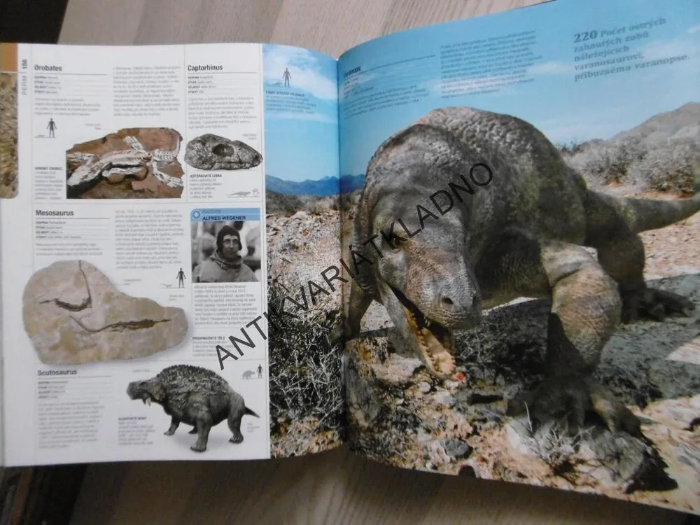 PREHISTORIE, OBRAZOVÝ PRŮVODCE VÝVOJEM ŽIVOTA NA ZEMI, **an