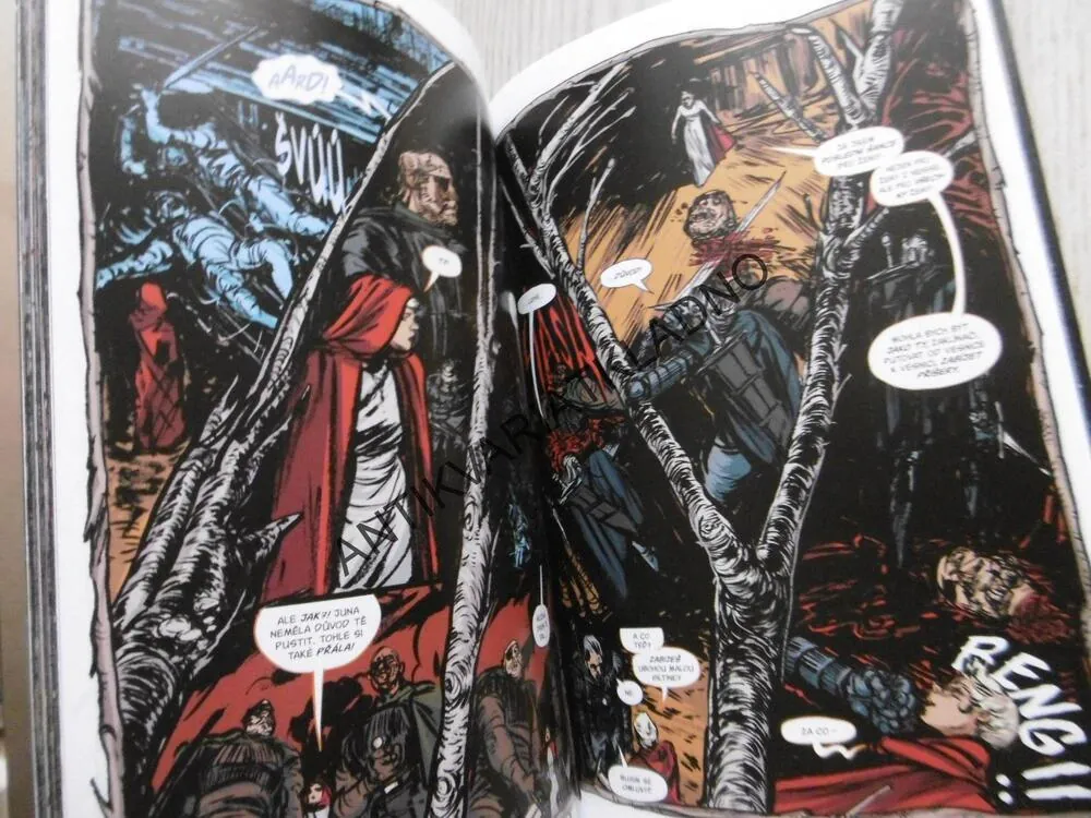 ZAKLÍNAČ, NÁŘEK ČARODĚJNICE, KOMIKS CREW DARK HORSE 6., **an