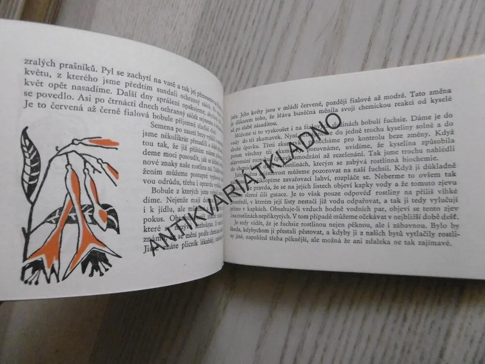 OKO 3 - KOUZLA S ROSTLINAMI, KAREL PATOČKA, ŠTOLFA,**an