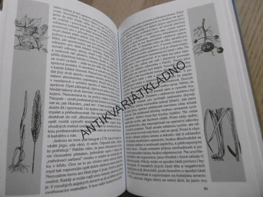 ZA TAJEMSTVÍM ZDRAVÍ, S ÚSMĚVEM, LÁSKOU...A ROZUMEM, **an