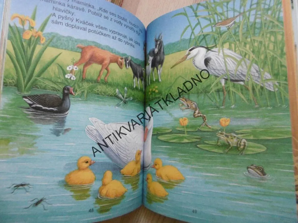 NA NAŠEM STATKU, SVOJTKA, **an