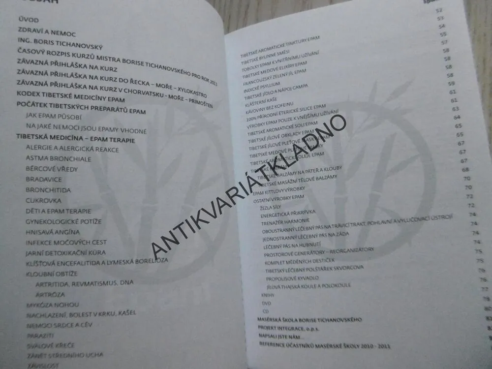 EPAM TERAPIE, ROZPIS KURZŮ BORISE TICHANOVSKÉHO 2013