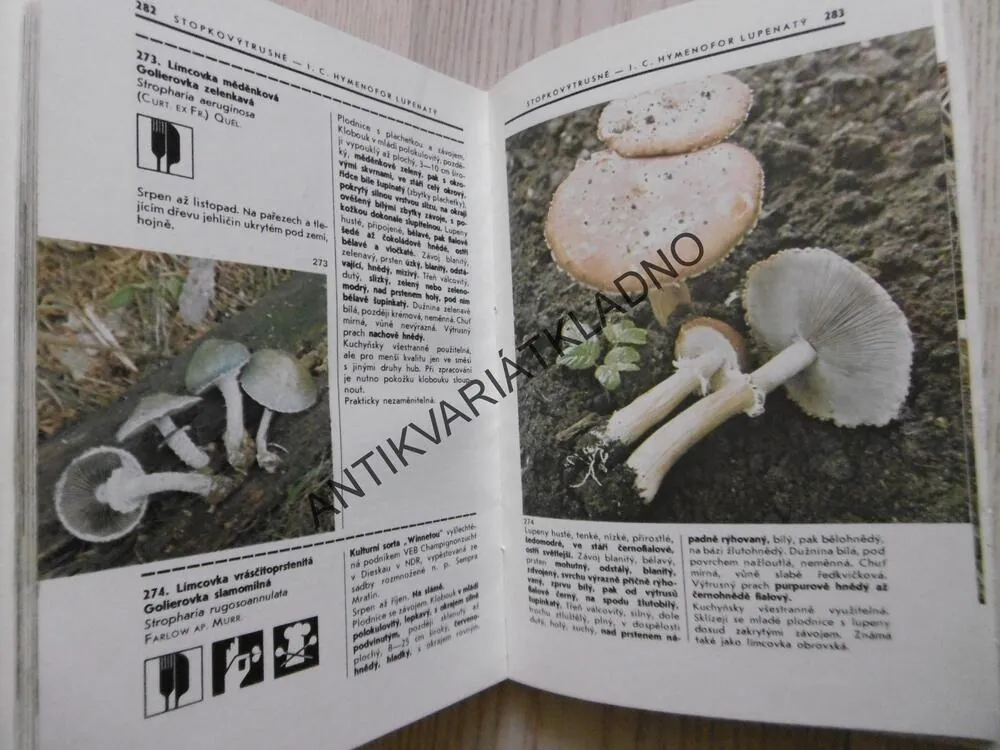 POZNÁVÁME HOUBY, KLUZÁK, SMOTLACHA, ERHARTOVI, MYKOLOGIE , **an