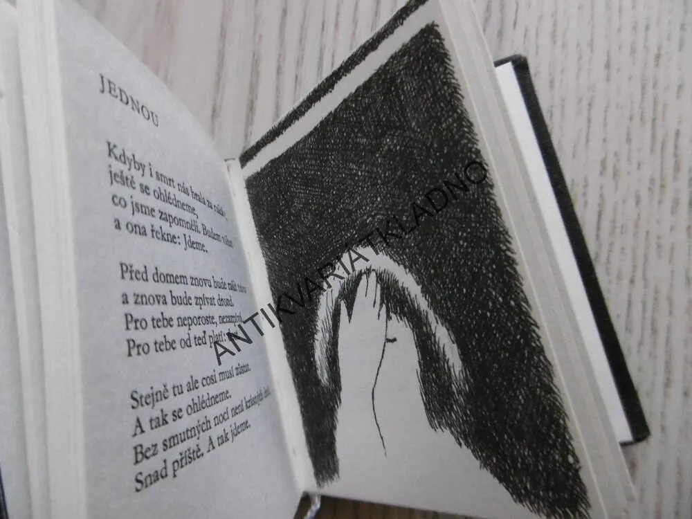 TŘINÁCTÉ DVEŘE, PETR KOVAŘÍK, MINI POEZIE