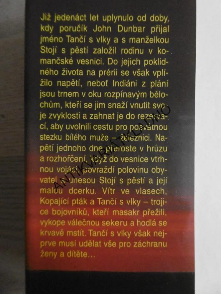 POSVÁTNÁ STEZKA, MICHAEL BLAKE, **an