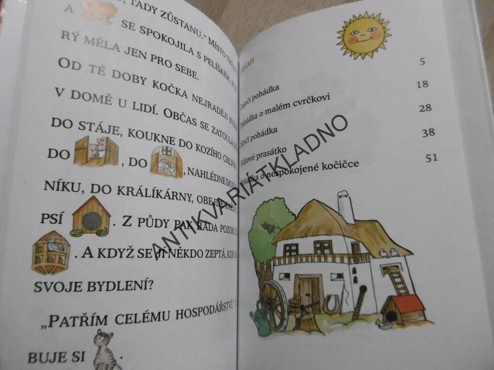 PRVNÍ ČTENÍ S VELKÝMI PÍSMENY, GABRIELA KOPCOVÁ, **an