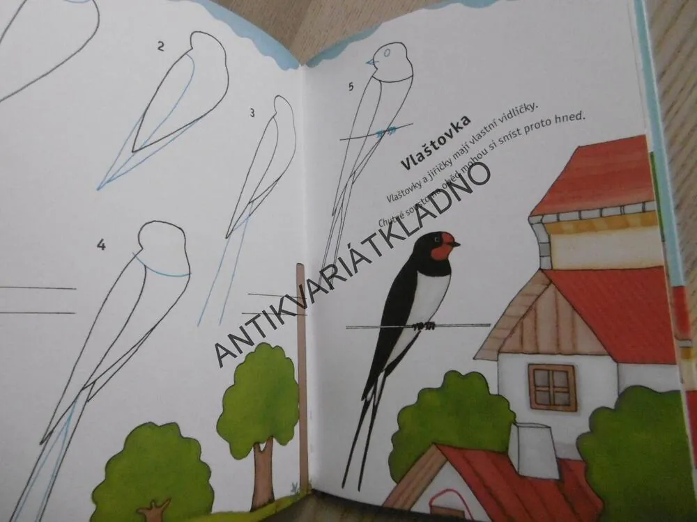 KRESLÍME ZVÍŘÁTKA KOLEM NÁS, KROK ZA KROKEM,