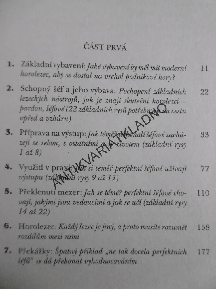 JAK PŘEMÝŠLÍ AMERICKÝ ŠÉF?, DEBRA BENTONOVÁ, **an