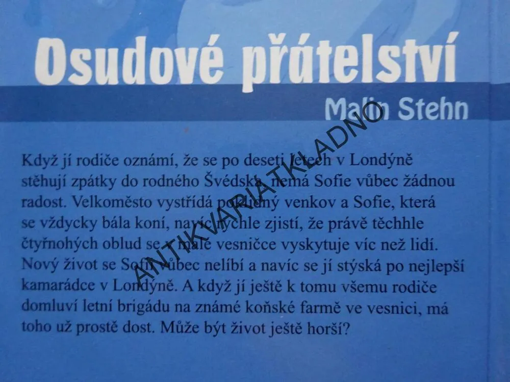 OSUDOVÉ PŘÁTELSTVÍ, MALIN STEHN, **an