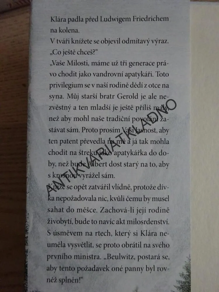 VANDROVNÍ APATYKÁŘKA, INY LORENTZOVÁ, **an