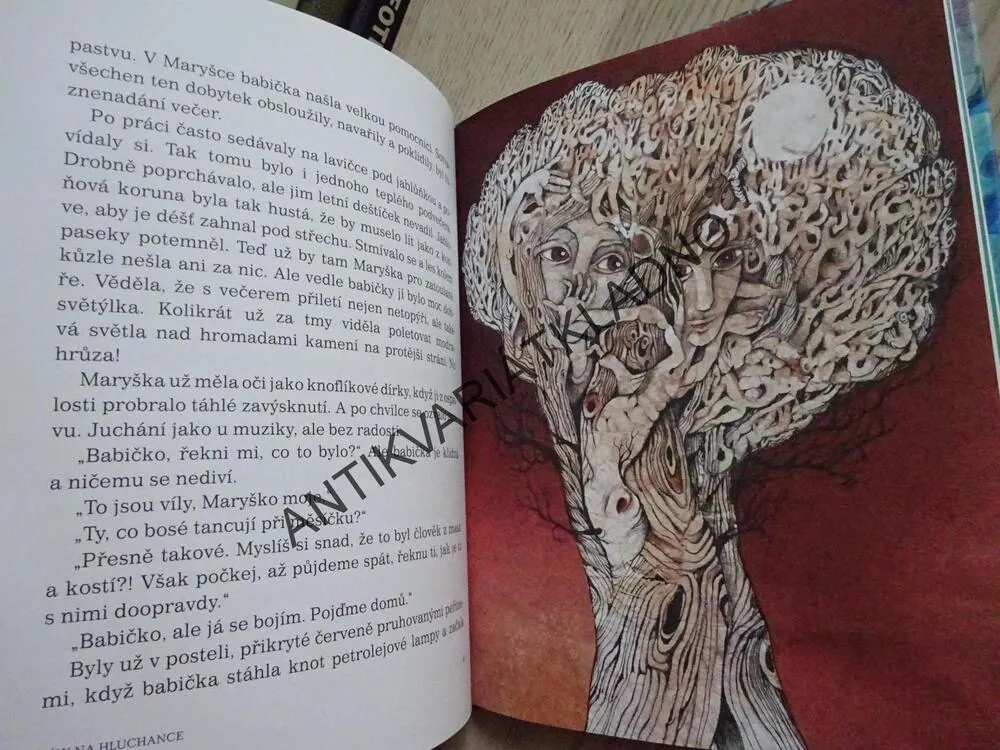 STRÁŽKYNĚ POKLADU, MAGICKÉ ROZPRÁVKY ZE ZADNÍCH HOR, JAROMÍR ŠLOSAR, **an