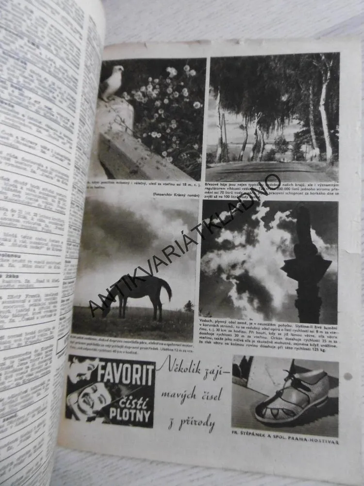 KRÁSNÝ ROMÁN. 250- JEHO BOHATÁ ŽENA, VALENTA