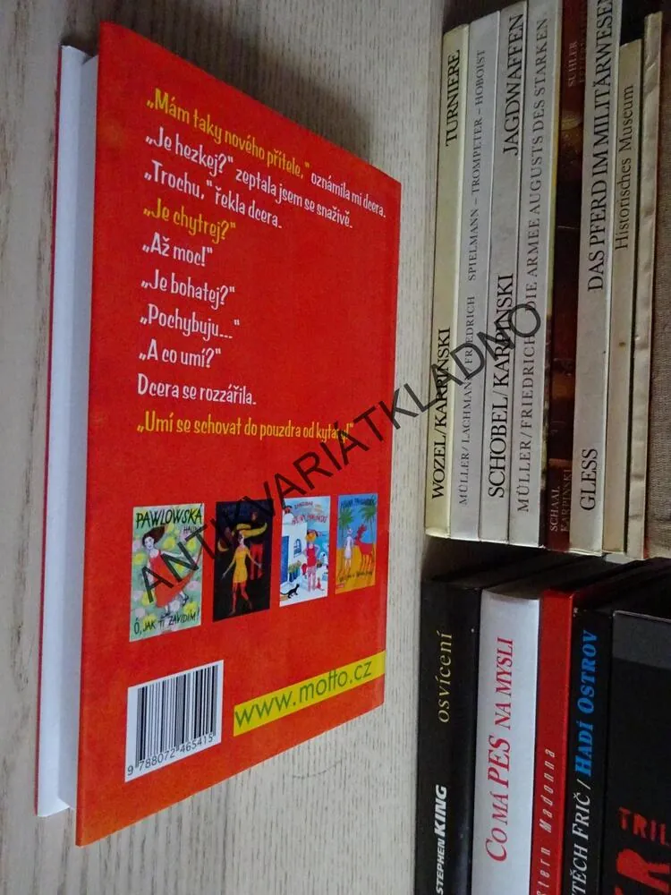 JEŠTĚ ŽE NEJSEM PAPEŽ, HALINA PAWLOWSKÁ, **an
