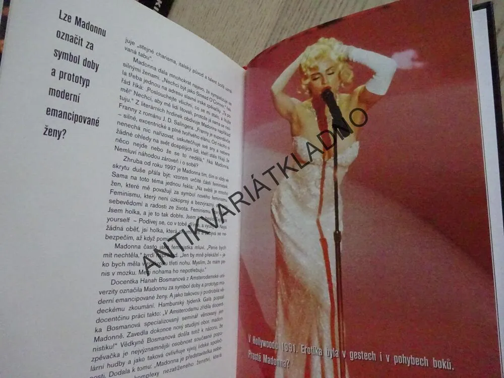MADONNA, PROMĚNY VÉVODKYNĚ SEXU, DANIEL STERN, **an