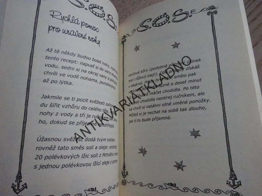 BUĎ IN! SYLVIA SCHNEIDEROVÁ, **an