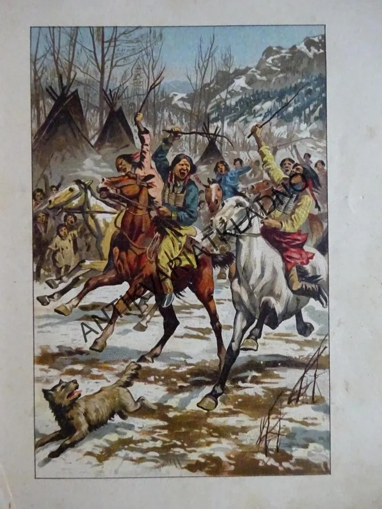 JIM, ZÁLESÁK AMERICKÝ, HEINRICH FRANTIŠEK