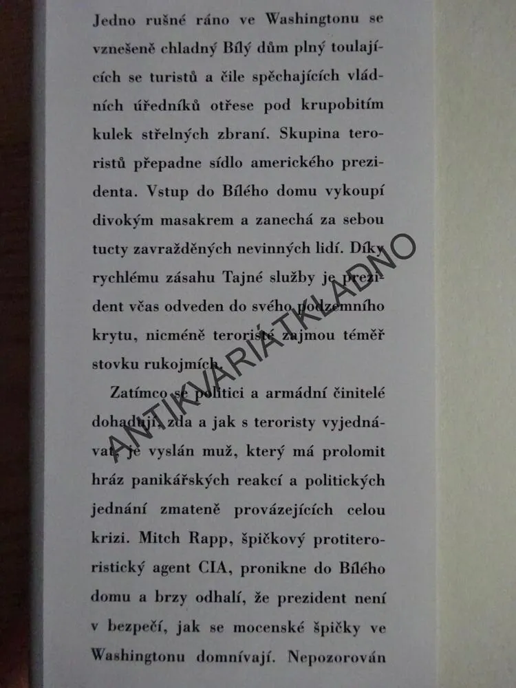 PŘEVZETÍ MOCI, VINCE FLYNN, **an