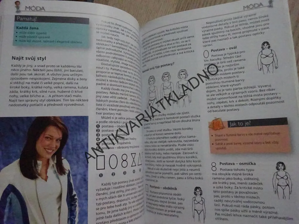 LEXIKON PŮVABU, ŠÁRKA PAVLIČOVÁ, **an
