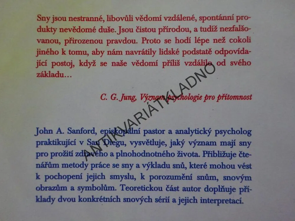 SNY A UZDRAVENÍ, JOHN A. SANFORD, **an