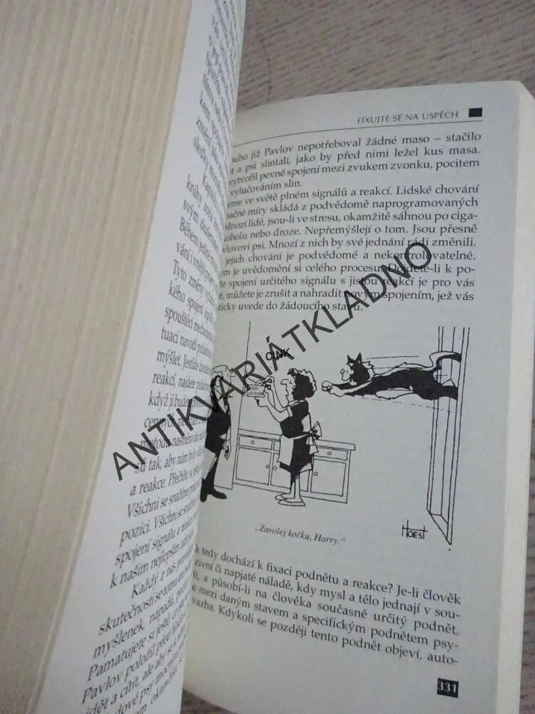 NEKONEČNÁ SÍLA, ANTHONY ROBBINS, **an