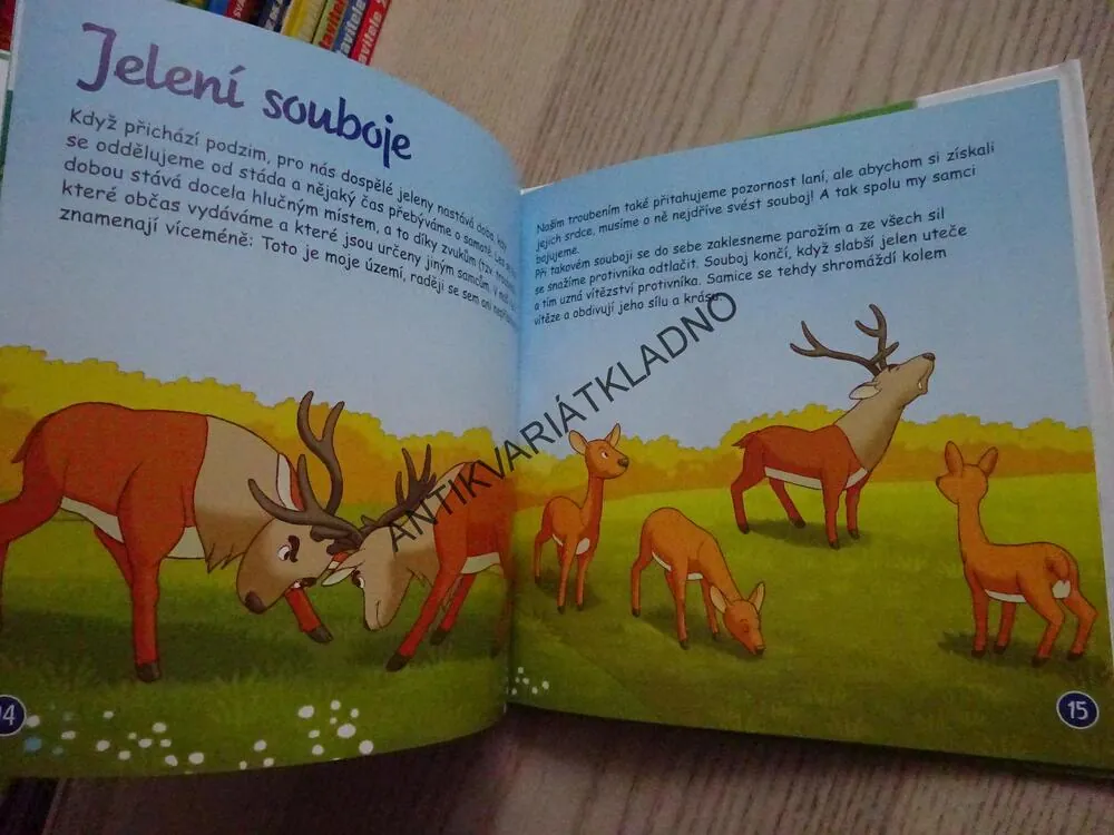 JELEN, BYDLÍM V LESE 1, **an