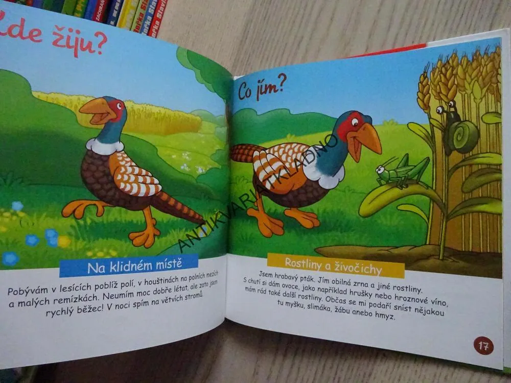 ZAJÍC, DIVOČÁK, SKŘIVÁNEK A BAŽANT, NA POLÍCH A LUKÁCH 16, **an