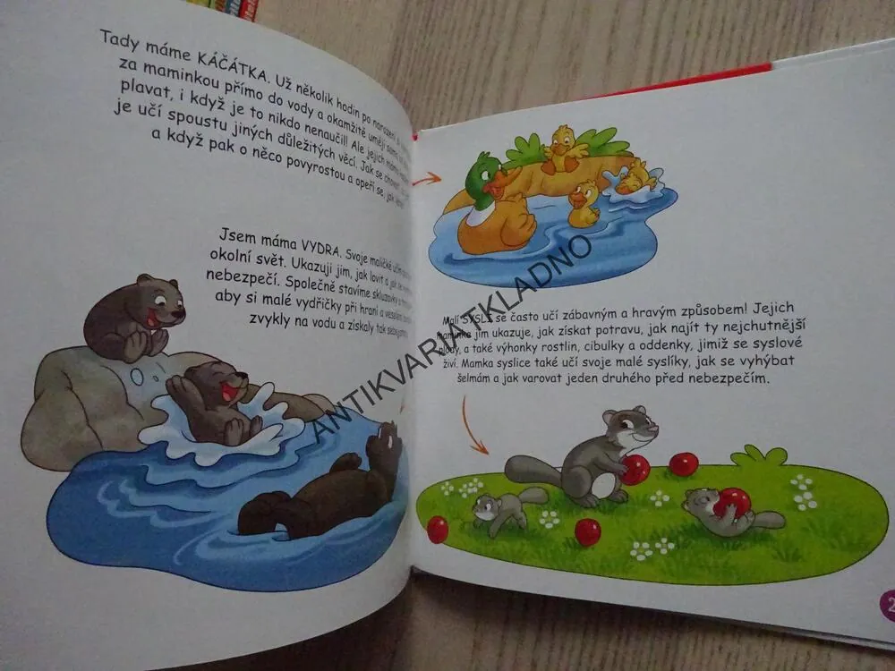 STATEČNÁ OVEČKA, NA POLÍCH A LUKÁCH 27, **an