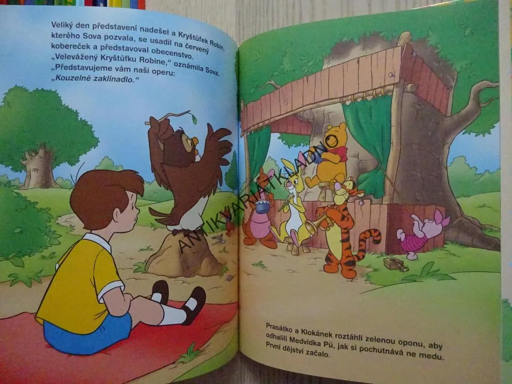 KOUZELNÉ ZAKLÍNADLO, MEDVÍDEK PÚ, WALT DISNEY, **an