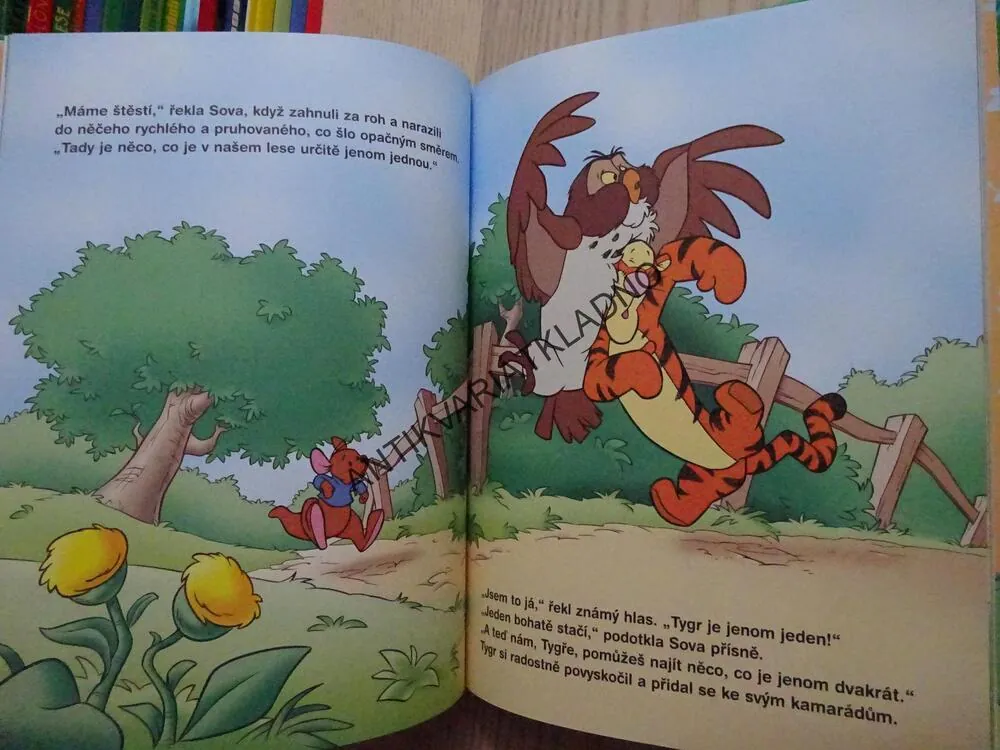 JAK VYPADÁ STO, MEDVÍDEK PÚ, WALT DISNEY, **an
