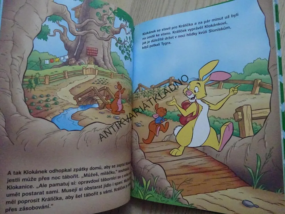 STANOVÁNÍ V LESE, MEDVÍDEK PÚ, WALT DISNEY, **an