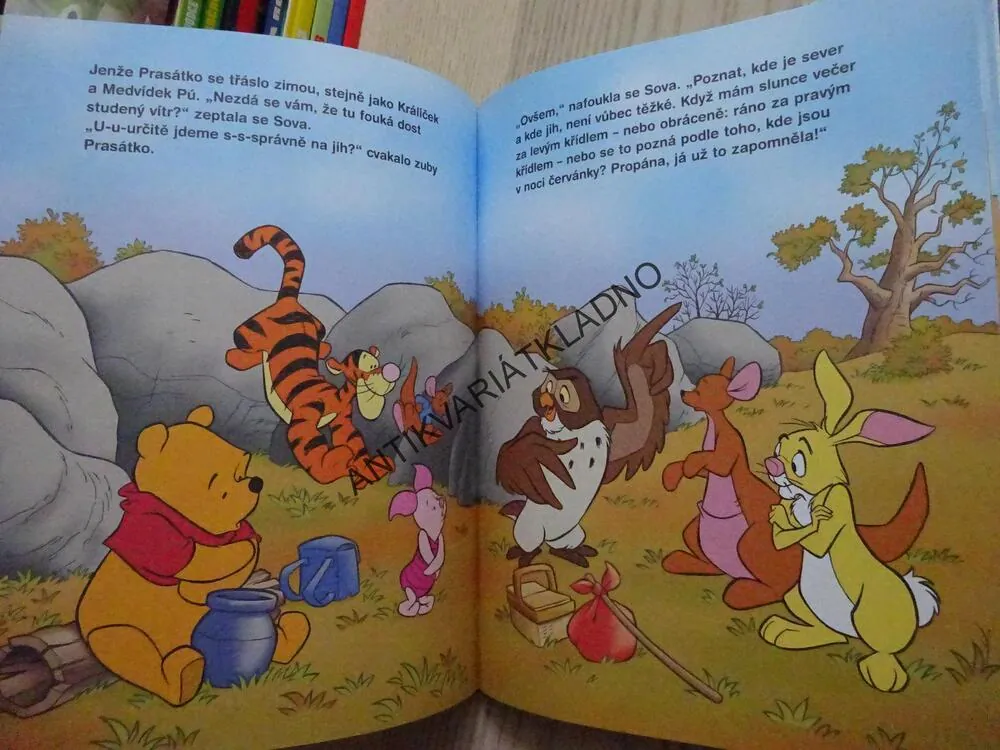 DO TEPLÝCH KRAJIN, MEDVÍDEK PÚ, WALT DISNEY, **an