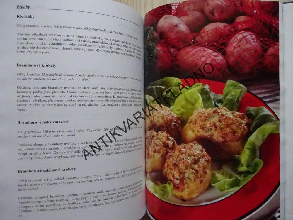 TRADIČNÍ ČESKÁ JÍDLA PRO KAŽDOU PŘÍLEŽITOST, 1000 RECEPTŮ, MILUŠE HORÁČKOVÁ, **an