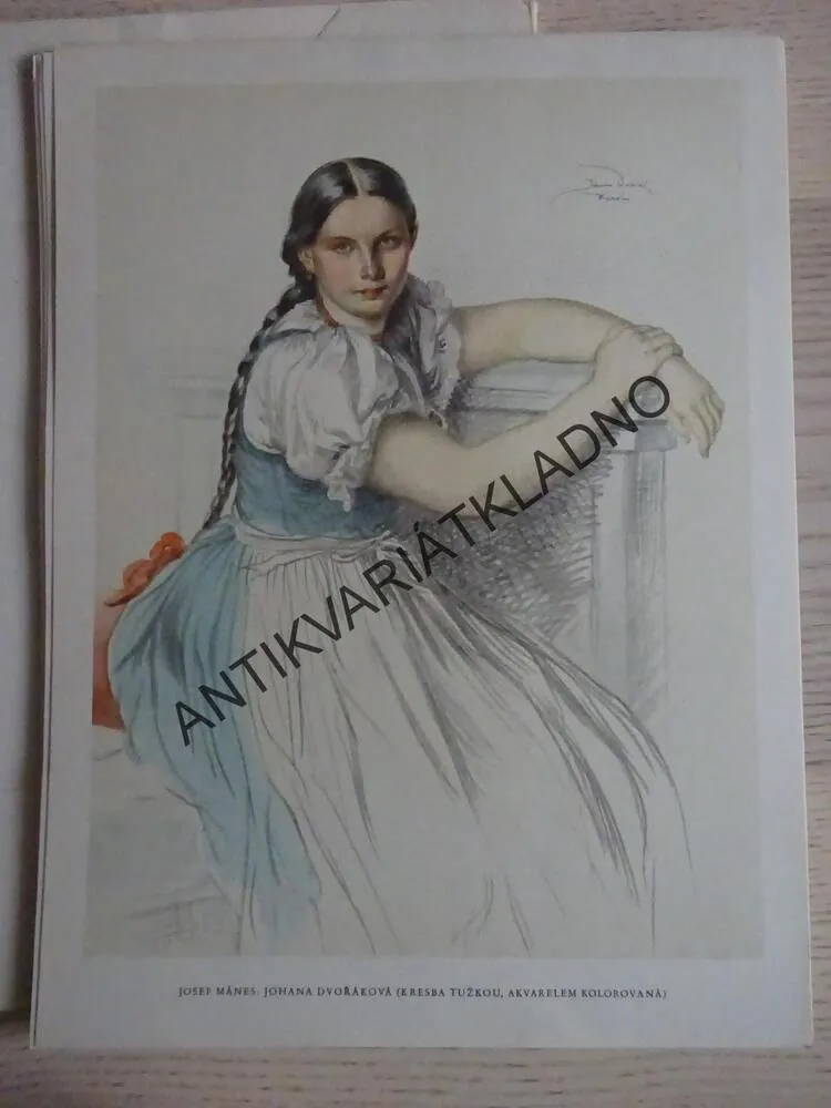 VLASTENECKÝ PŘÍKLAD ČESKÉ KRESBY XIX. STOLETÍ, **an