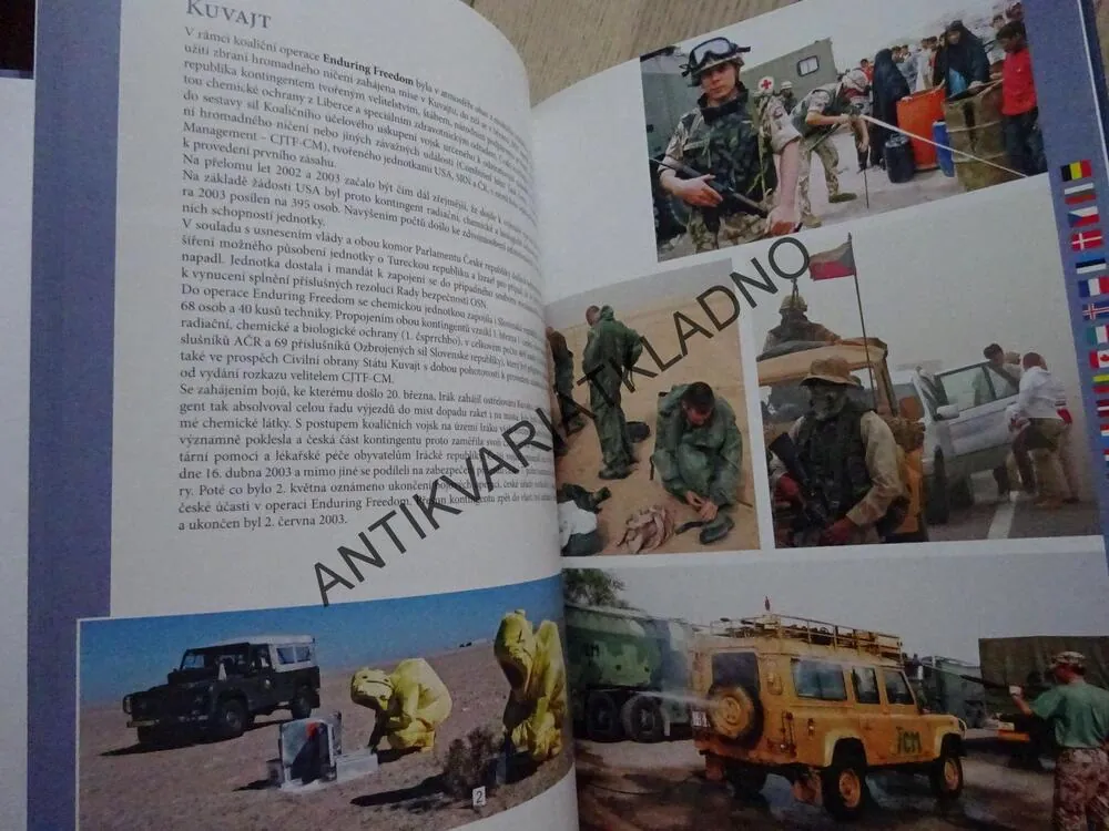 10 LET ČLENSTVÍ ČESKÉ REPUBLIKY V NATO, **an