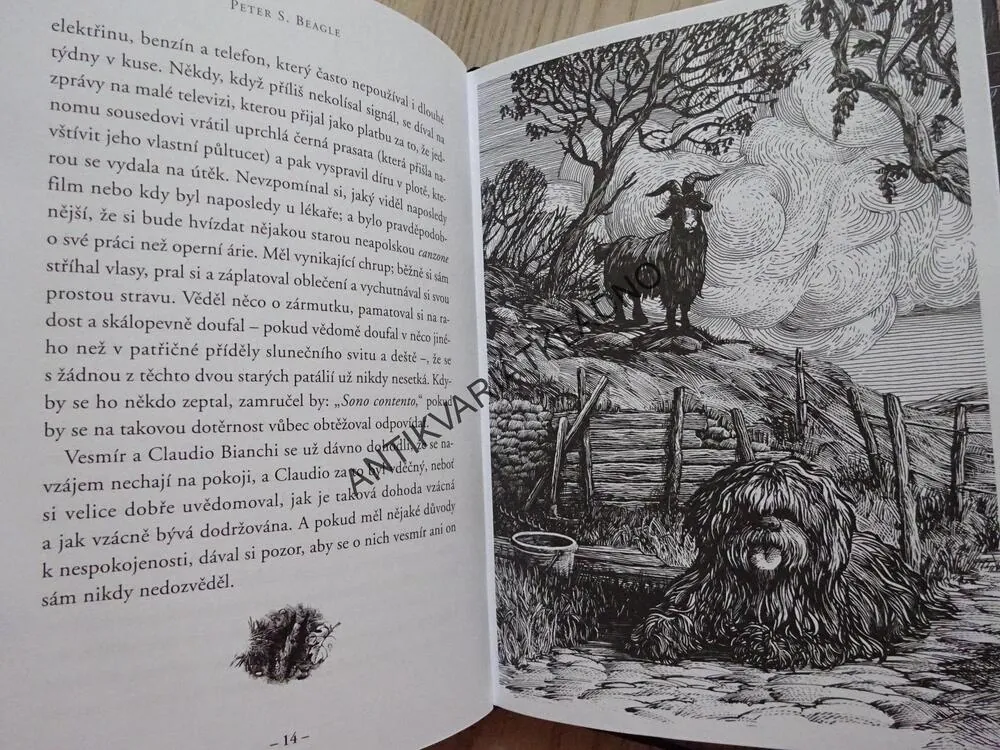 V KALÁBRII, PETER S. BEAGLE, **an