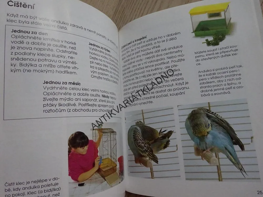 BYDLÍ S NÁMI ANDULKA, HELENA PIERSOVÁ, **an