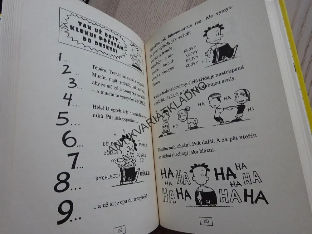 VELKEJ FRAJER NATE JE PROSTĚ TŘÍDA, KOMIKS, LINCOLN PEIRCE, **an