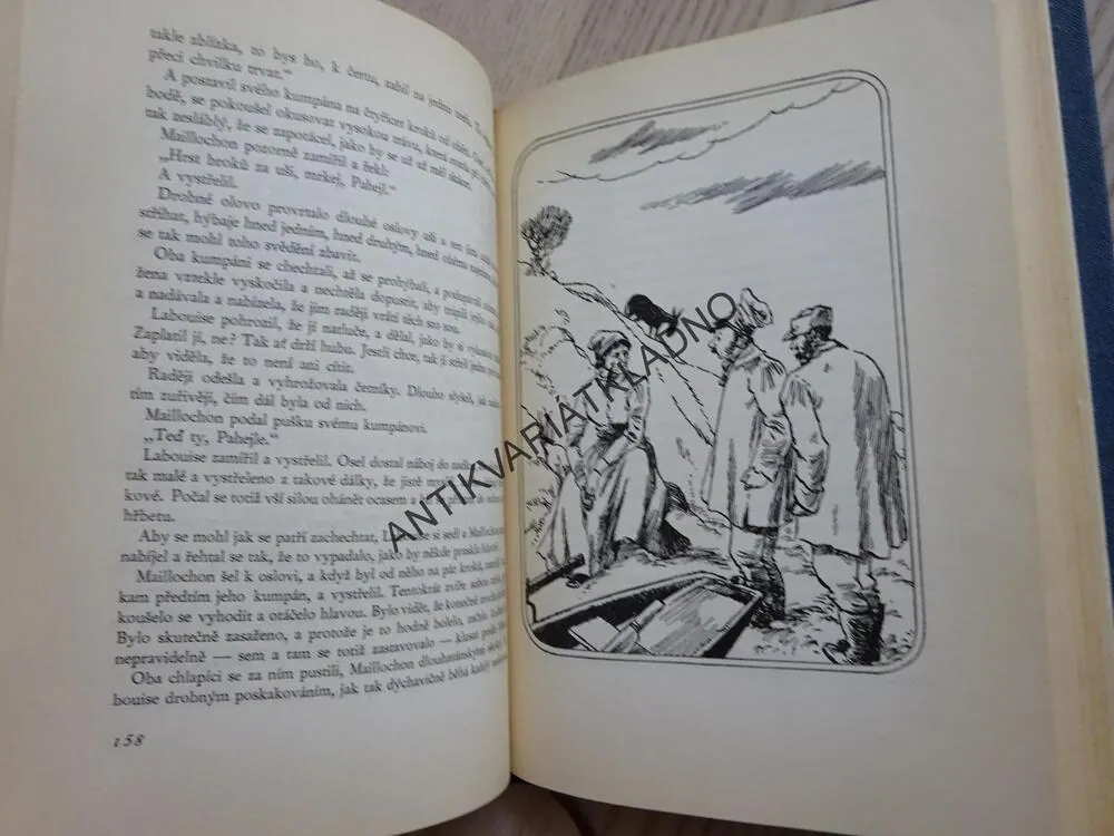 PŘÍBĚHY, GUY DE MAUPASSANT, **an
