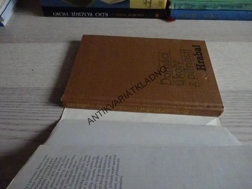 DOMÁCÍ ÚKOLY S PILNOSTÍ, BOHUMIL HRABAL, **an