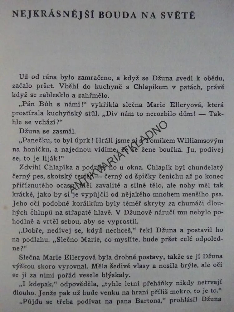 TAJEMSTVÍ ČERNÉHO PSA, ELLERY QUEEN JR., **an