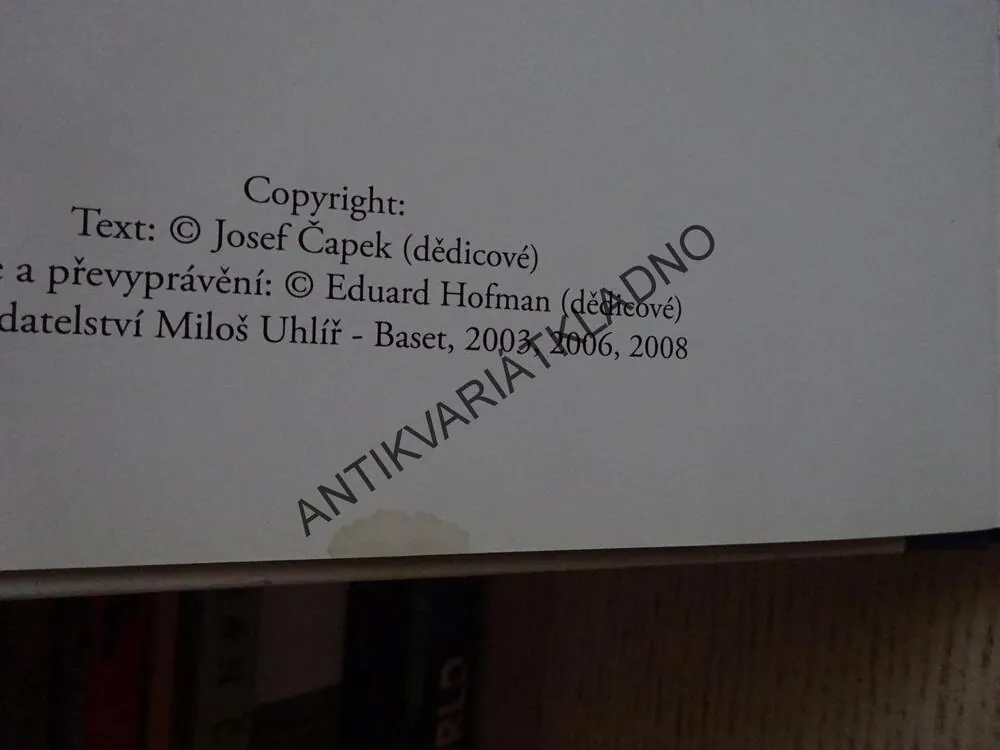 POVÍDÁNÍ O PEJSKOVI A KOČIČCE, JAK SI MYLI PODLAHU, JOSEF ČAPEK, **an