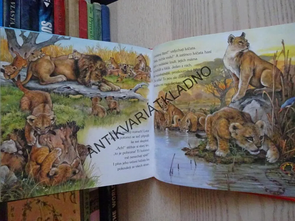 PO STOPÁCH ZVÍŘÁTEK, **an